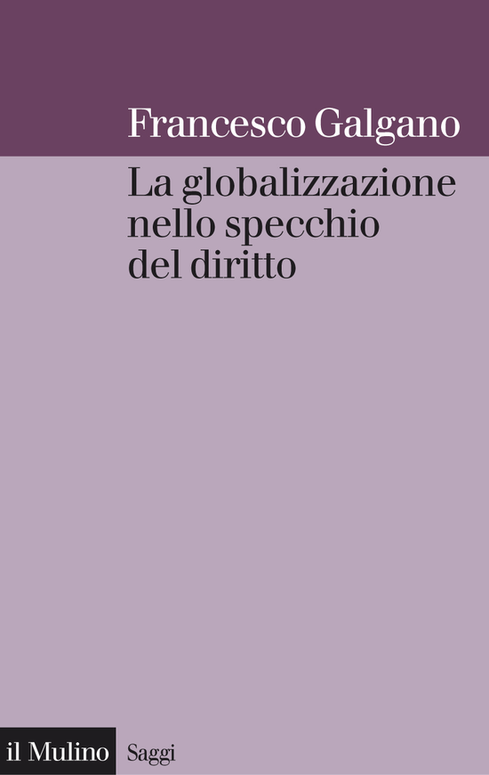 Copertina del libro La globalizzazione nello specchio del diritto