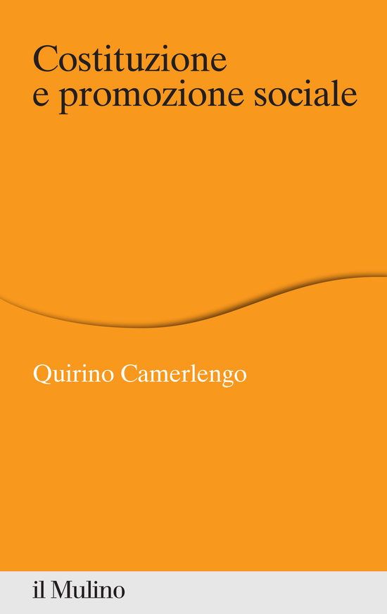 Copertina del libro Costituzione e promozione sociale ()